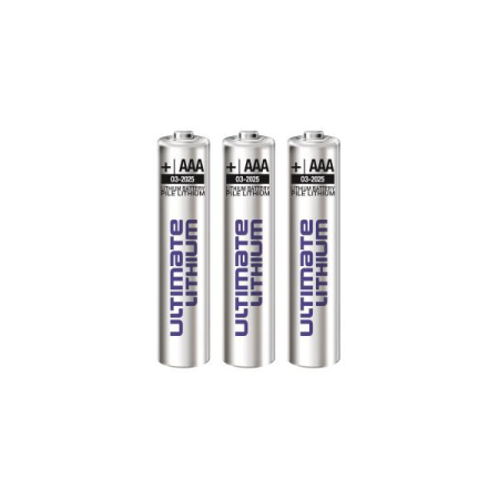 Batterie für den Einsatzbereich unter -10 °C AAA Lithium, 1,5 V (3 Stück)