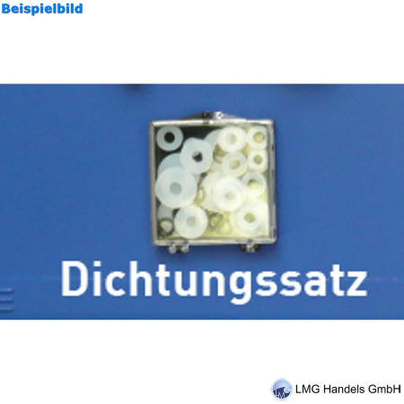 Dichtungssatz mit Flachdichtungen aus Kunststoff und O-Ringe